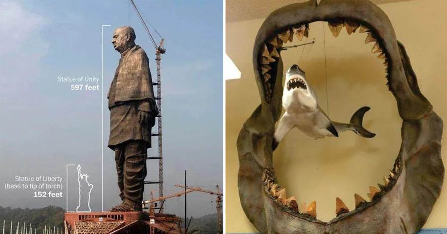 16個驚人對比：自由女神像在最高雕像面前如此矮小，3m長的大白鯊也不夠史前生物塞牙縫